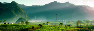 Munnar